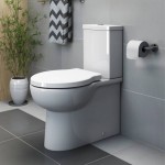 blocked toilet Wimbledon SW19 SW20